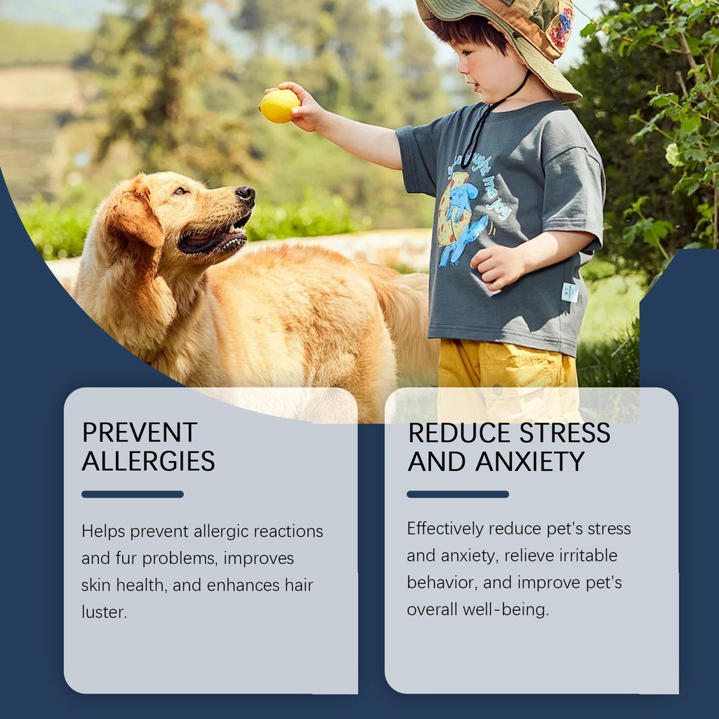 Food Supplement For Dogs, Immune-Boosting Healthy Dietary Supplement For Dogs