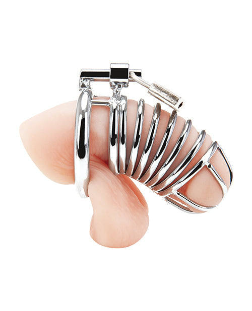 Blue Line Deluxe Chastity Cage Silver