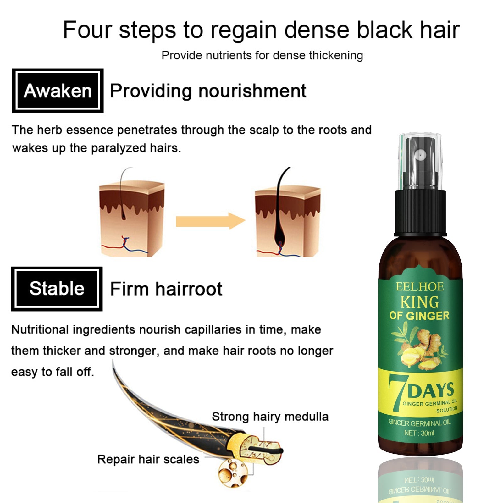 EEL Ginger Hair Spray, Strengthens Hair, Massages Scalp And Restores Hair