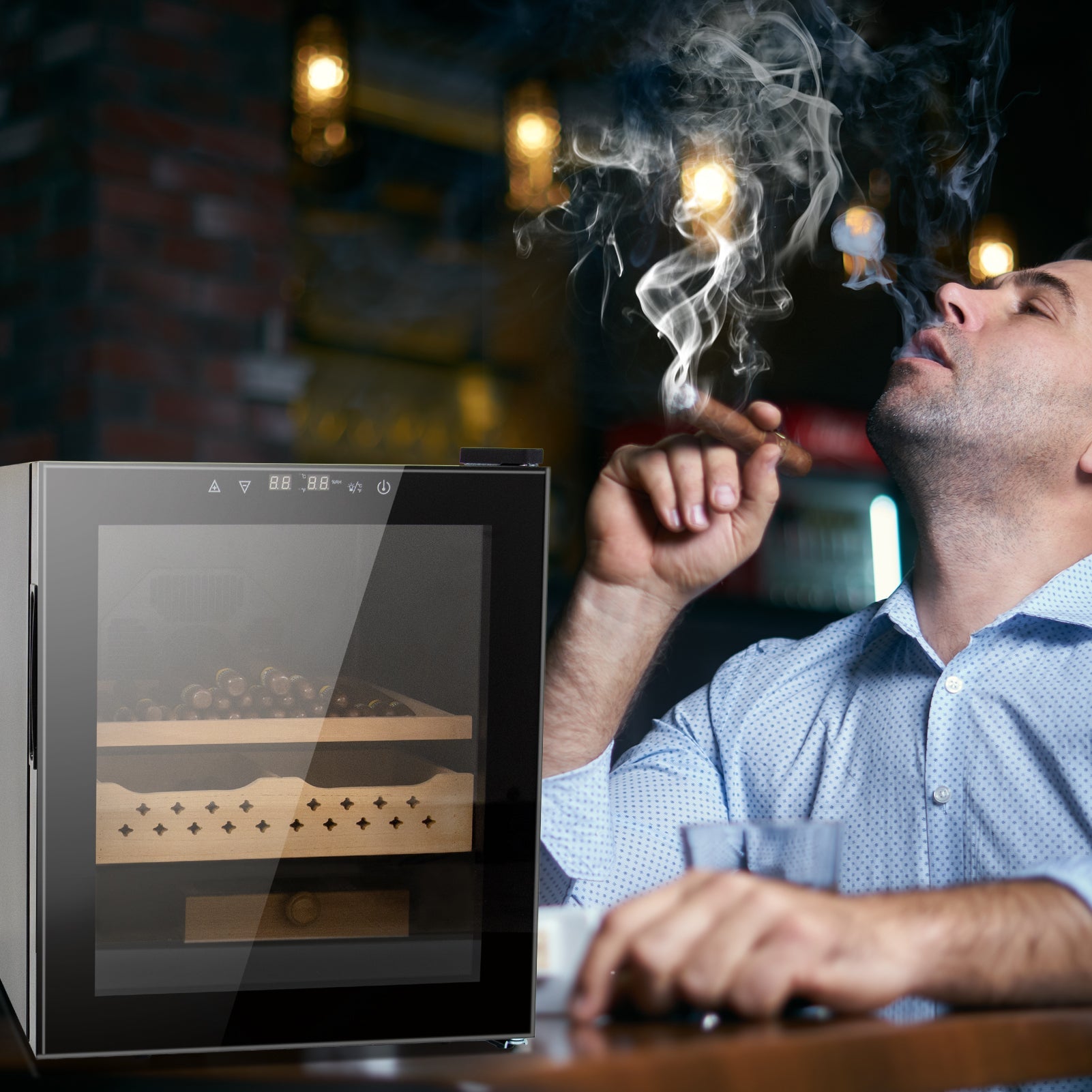 50L Cigar Humidors with 3-IN-1 Cooling, Heating & Humidity Control, 250 Counts Capacity Cigar Humidor Humidifiers with Constant Temperature Controller