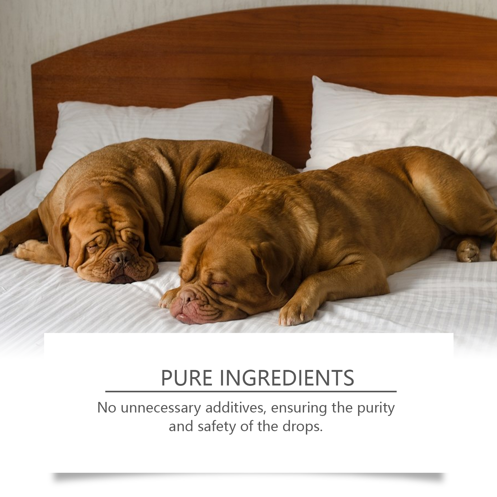 Dog Sleep Drops Pamper Dogs Sleeping At Night Pet Sleep Care Drops Supplement