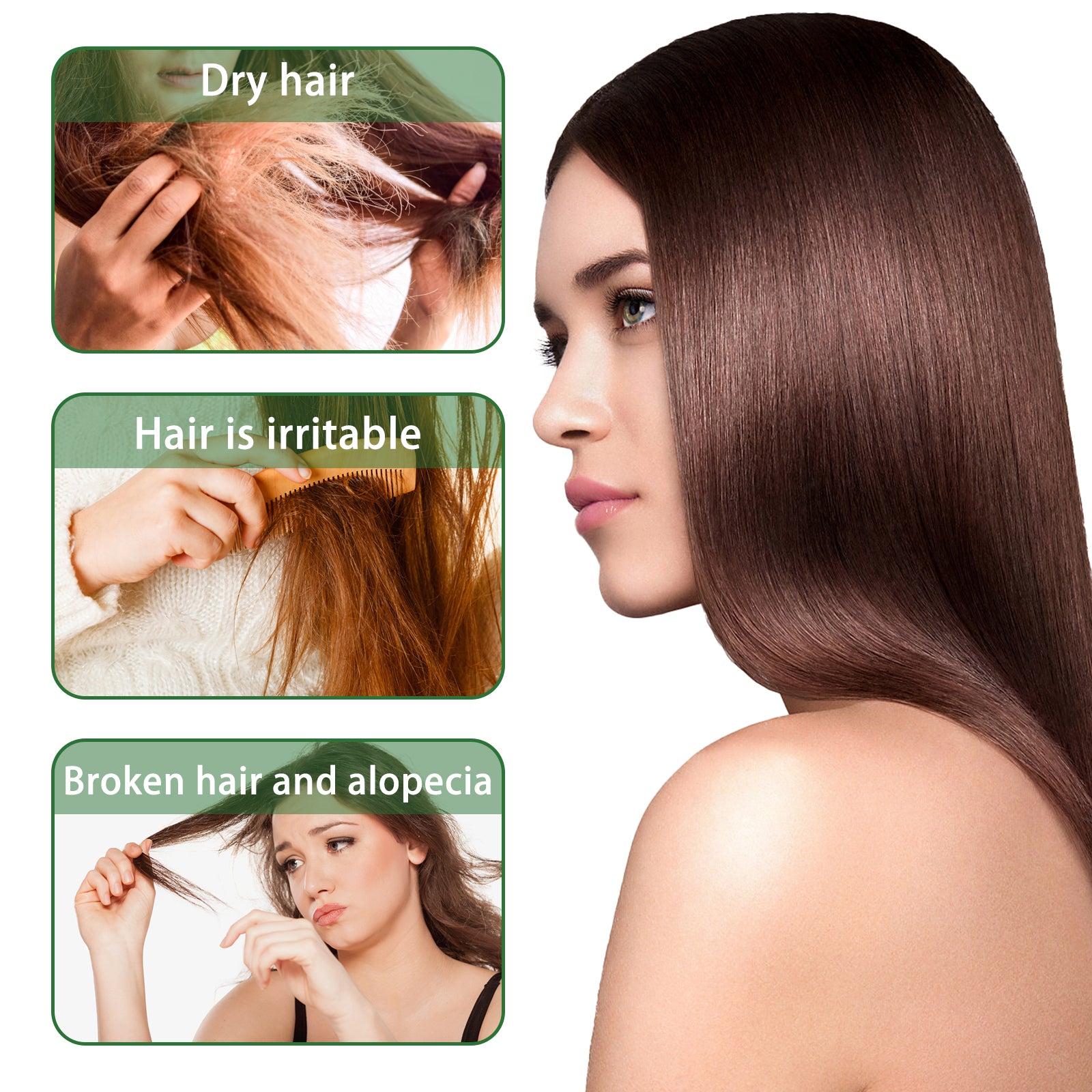 Rosemary Shampoo, Prevents Hair Loss Oil Control Fluffy And Smooth Shampoo