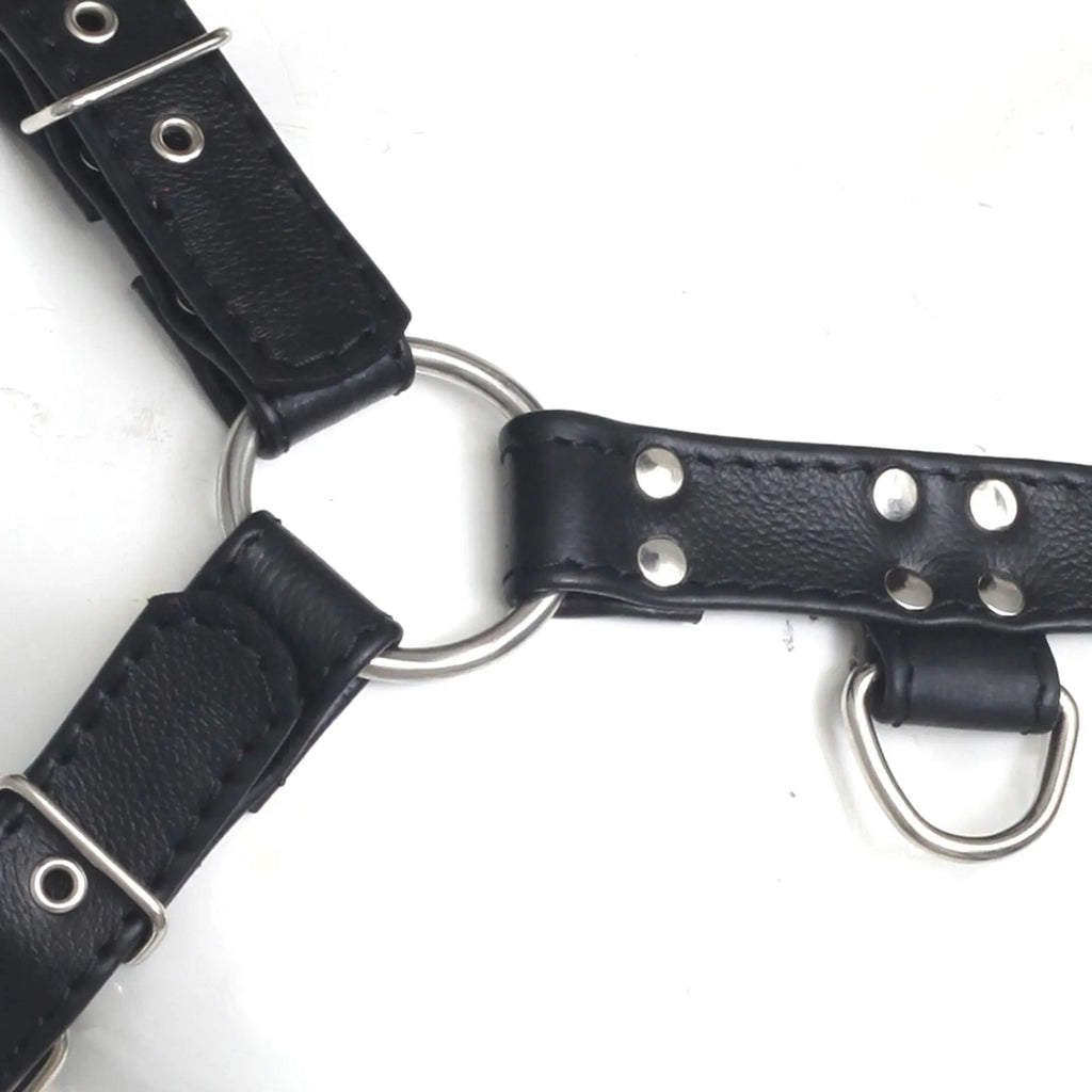 Double Folded Real Cowhide Leather Harness Men's Bulldog Chest & Shoulder Harness | Male Fetish Wear