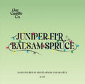 Juniper Fir + Balsam Spruce (Holiday)