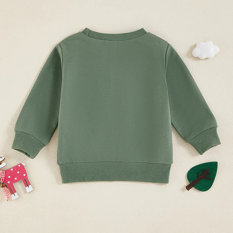 Baby Halloween Sweatshirt | Pumpkin Embroidery Pullover for Toddlers