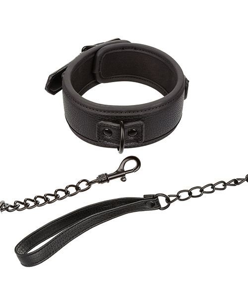 Nocturnal Festival to Fetish Detachable Collar and Leash