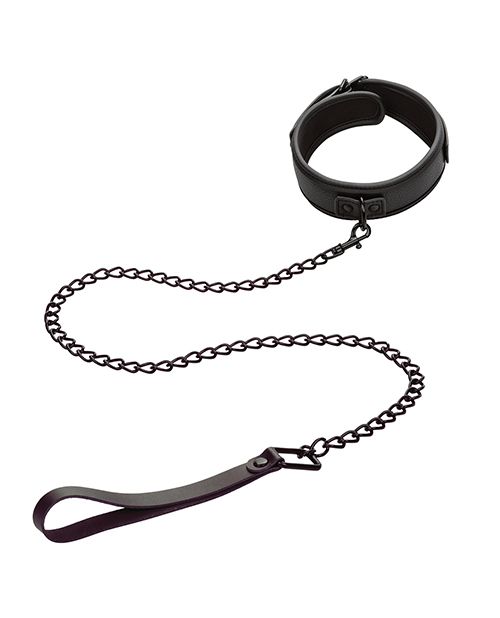 Nocturnal Festival to Fetish Detachable Collar and Leash