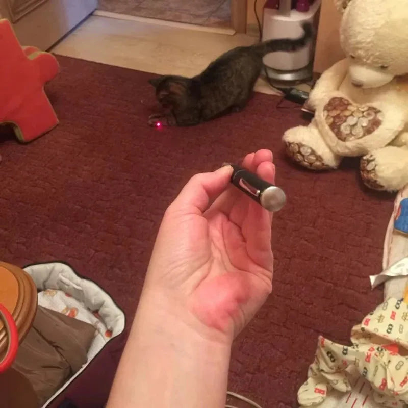 2 in 1 Pet Laser Cat Teaser Toy with LED Flashlight