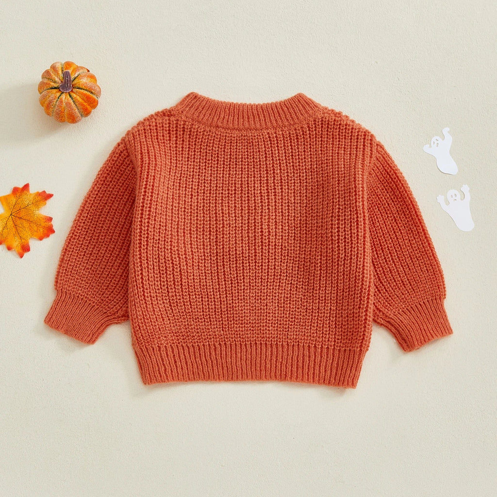 Baby Halloween Sweatshirt | Ghost & Skull Embroidery Toddler Top