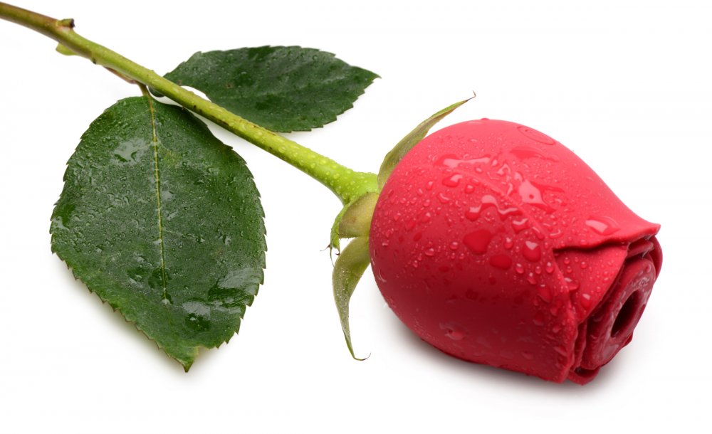 Inmi Bloomgasm Wild Rose Vibrator Red