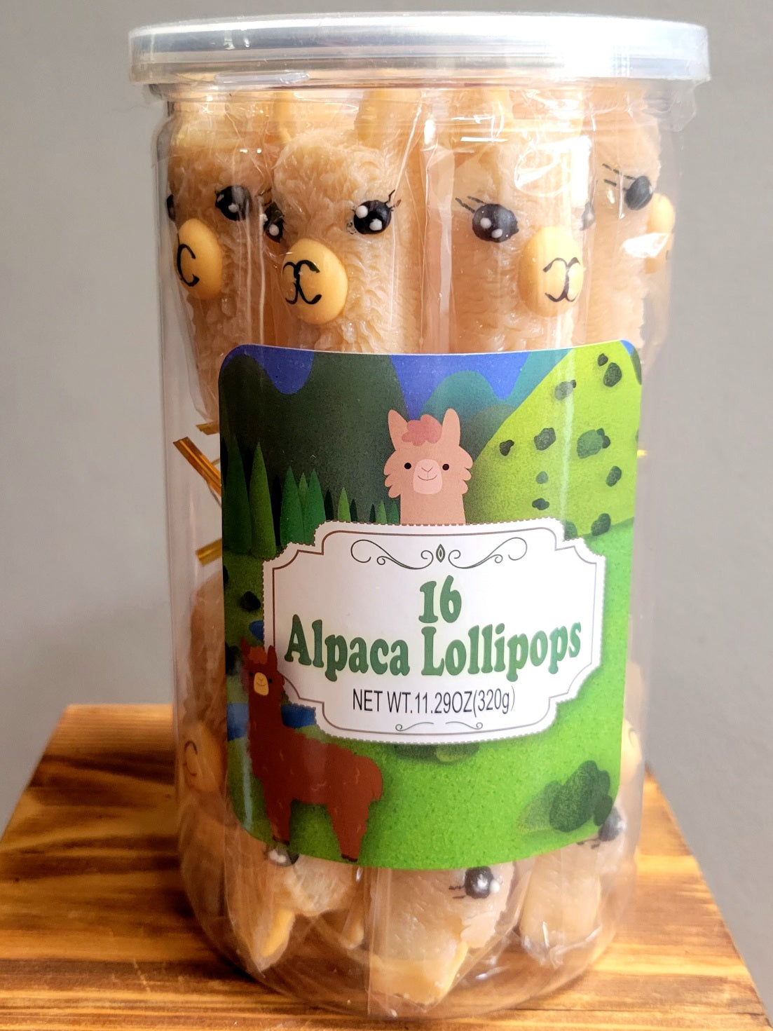 Alpaca Watching Lollipops