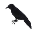 Artificial Black Crow – Halloween Decoration Prop