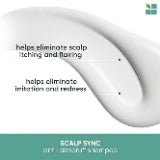 Biolage Scalp Sync Anti-Dandruff Shampoo | Targets Dandruff 13.5 Oz