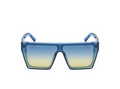 Sunglasses: Style 1662