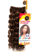 FEMI Collection Mambo Twin Open Loop Deep Twist Braid 12''