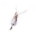 Hands-Free Feather Cat Wand with Bell – Suction Cup Interactive Toy