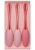 Doc Johnson In a Bag Kegel Trainer Kit