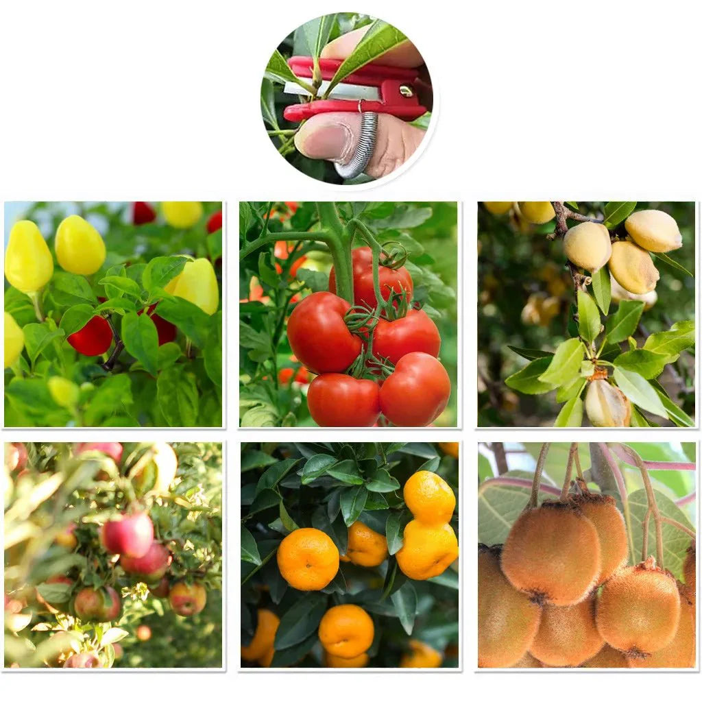 Thumb Knife Garden Pruner | Compact Fruit Picking and Trimming Tool