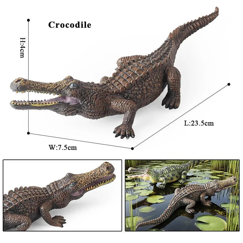 Sarcosuchus Crocodile Action Figure – Hand-Painted Wild Animal Model