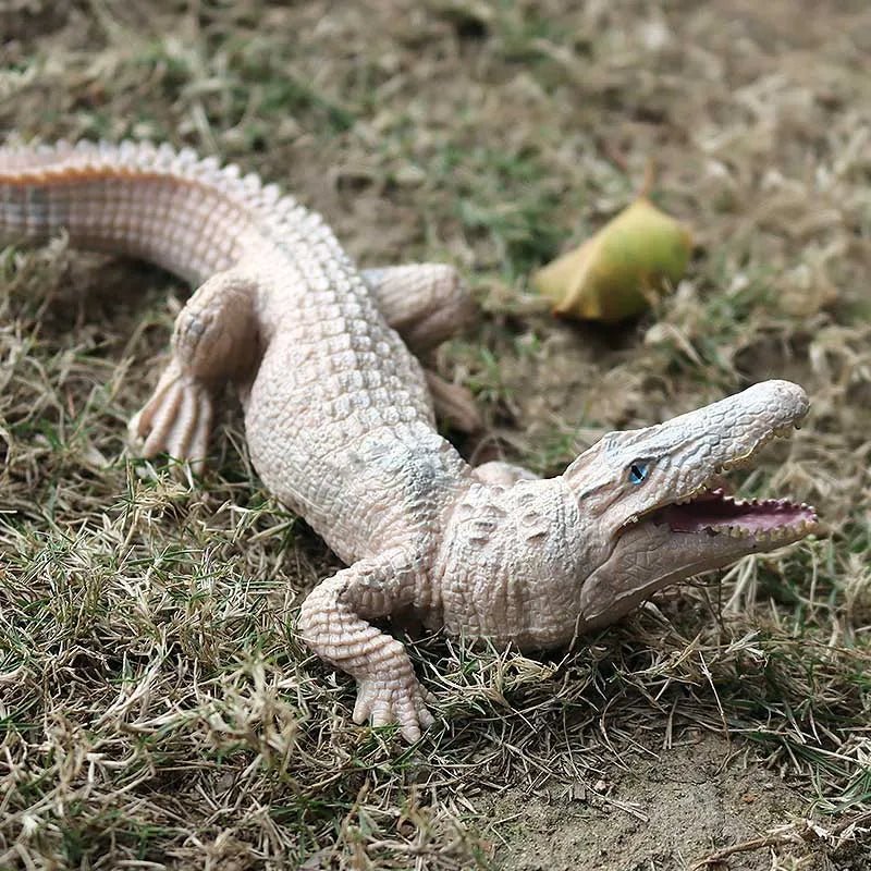 Sarcosuchus Crocodile Action Figure – Hand-Painted Wild Animal Model