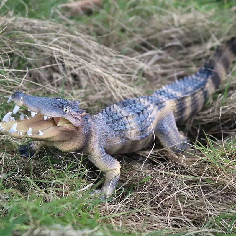 Sarcosuchus Crocodile Action Figure – Hand-Painted Wild Animal Model