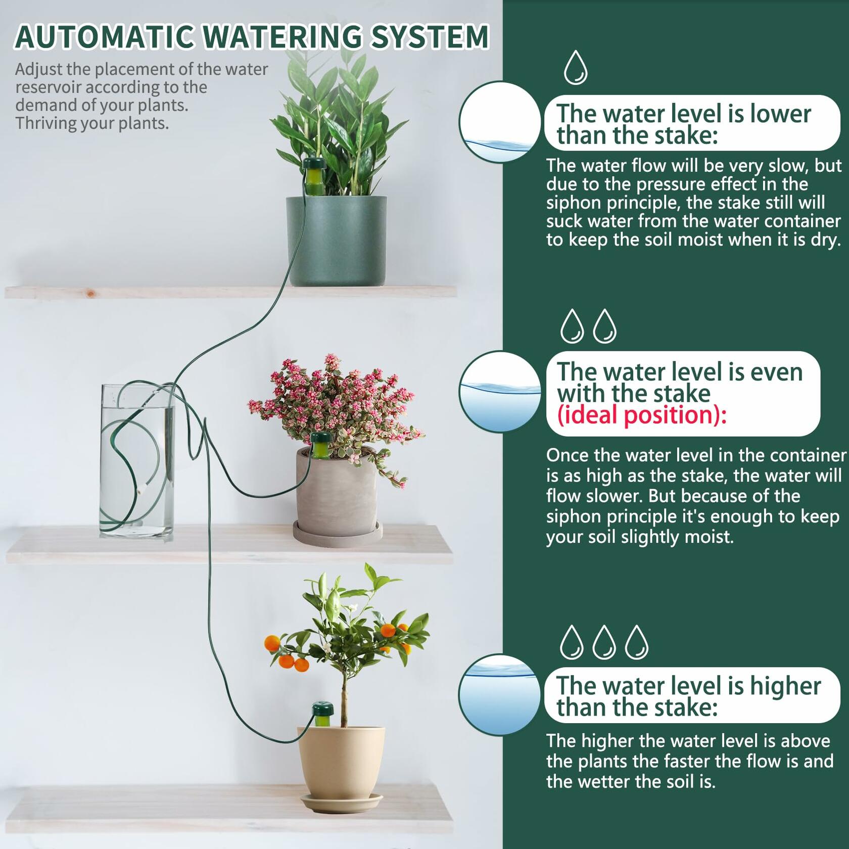 BYDOLL Plant Self-Watering Stakes Automatic Drip Irrigation System 10 Pack