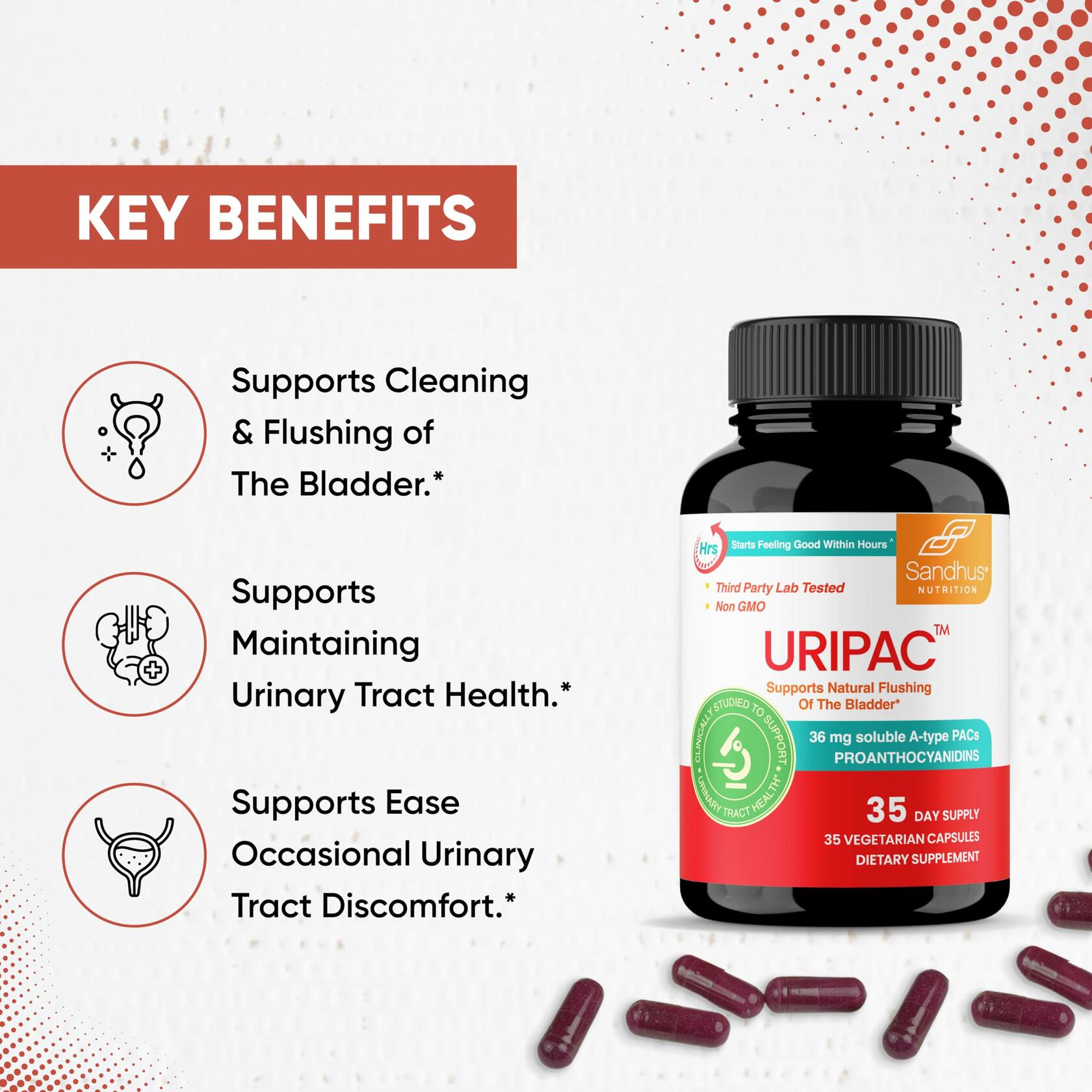 BestBy06/26 Sandhu's Uripac 36mg PACs Cranberry Extract 35 Capsules