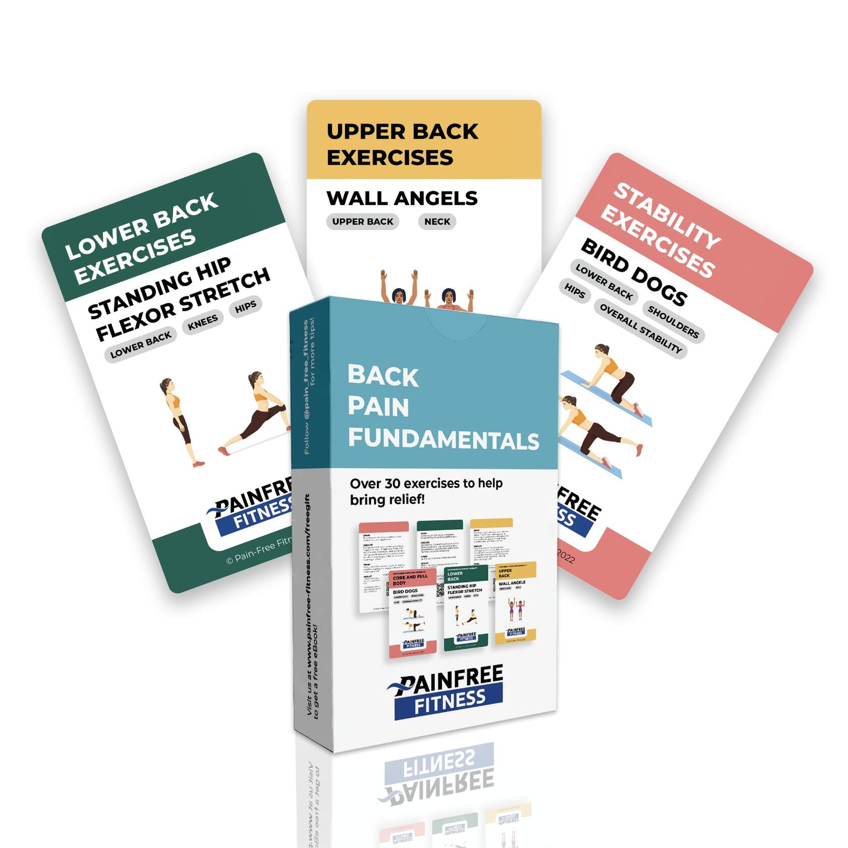 Pain-Free Fitness Back Pain Fundamentals Flashcards 30+ Cards Tear-Resistant