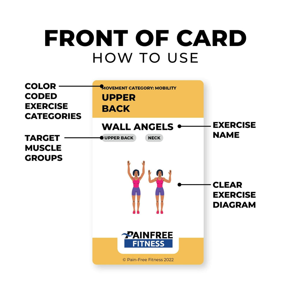 Pain-Free Fitness Back Pain Fundamentals Flashcards 30+ Cards Tear-Resistant