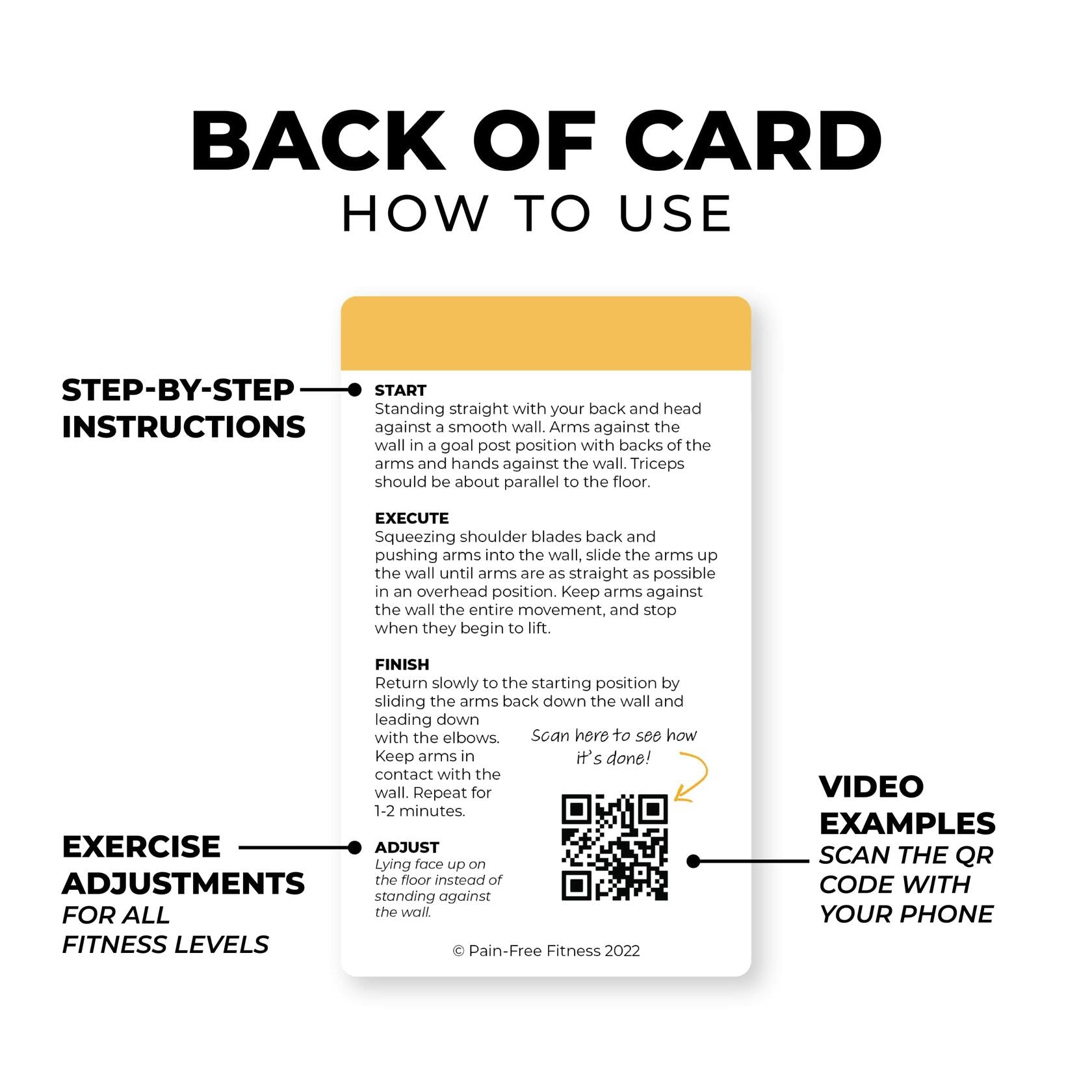 Pain-Free Fitness Back Pain Fundamentals Flashcards 30+ Cards Tear-Resistant