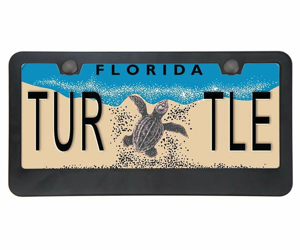 Car License Plate Frame Matte Stainless Steel Black 2 Pack with Screws Caps