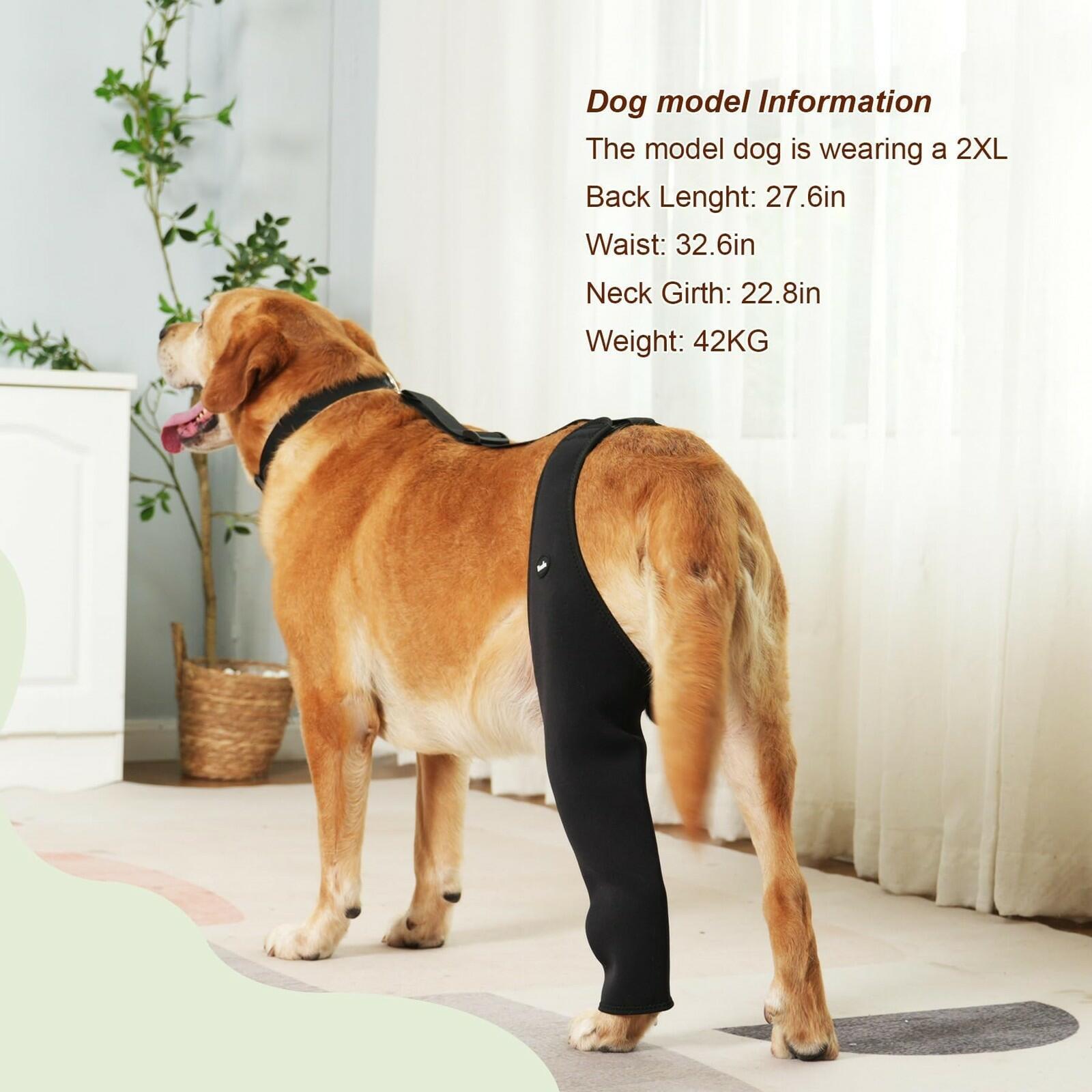 Yoneba Dog Recovery Sleeve Back Leg Breathable Material MPN DEG-08
