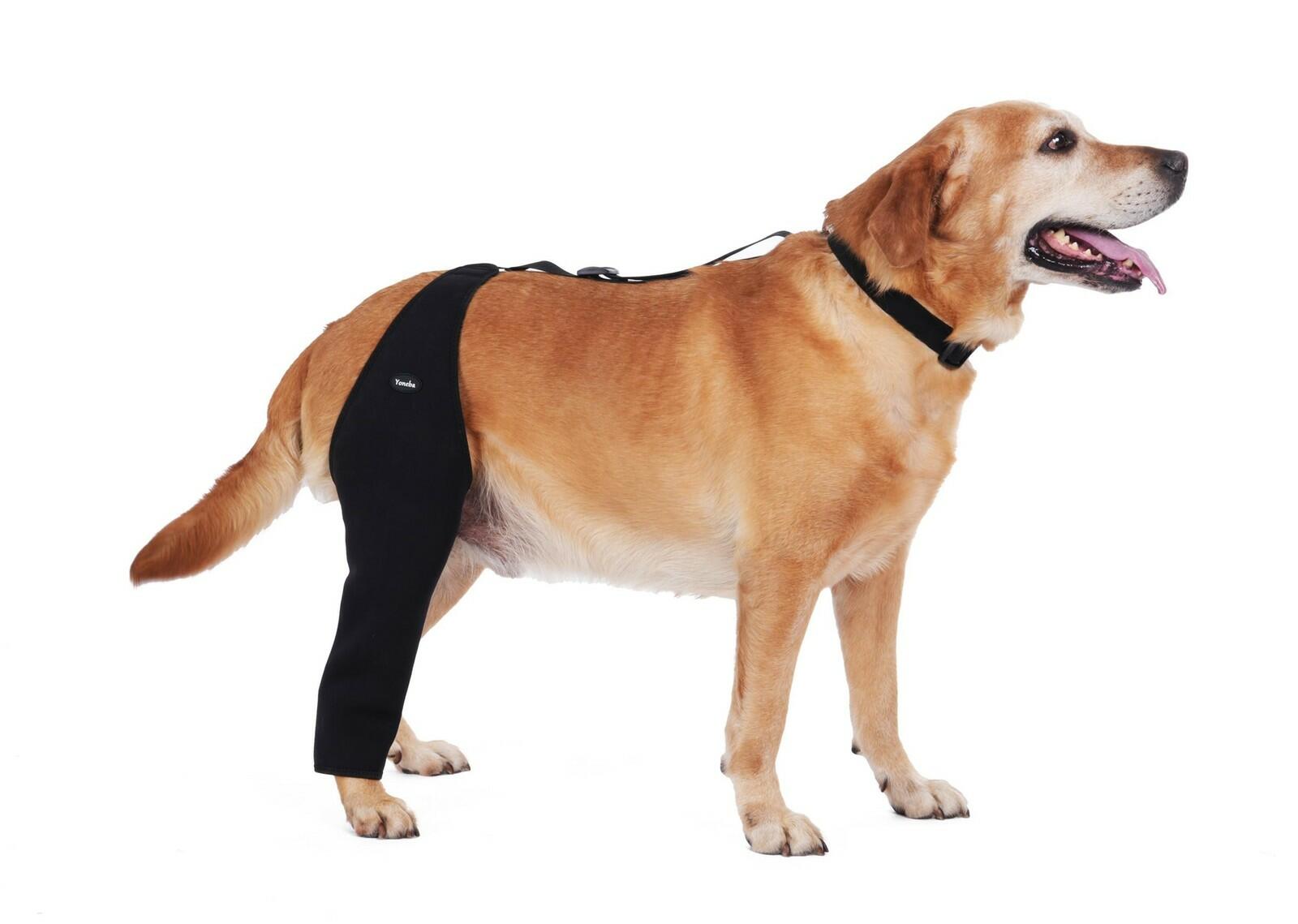 Yoneba Dog Recovery Sleeve Back Leg Breathable Material MPN DEG-08
