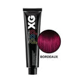 Paul Mitchell Pop XG Hair Color  6 Oz Bordeaux
