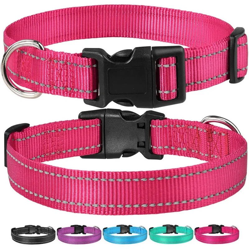 Reflective Nylon Dog Collar – Adjustable Safety Strap