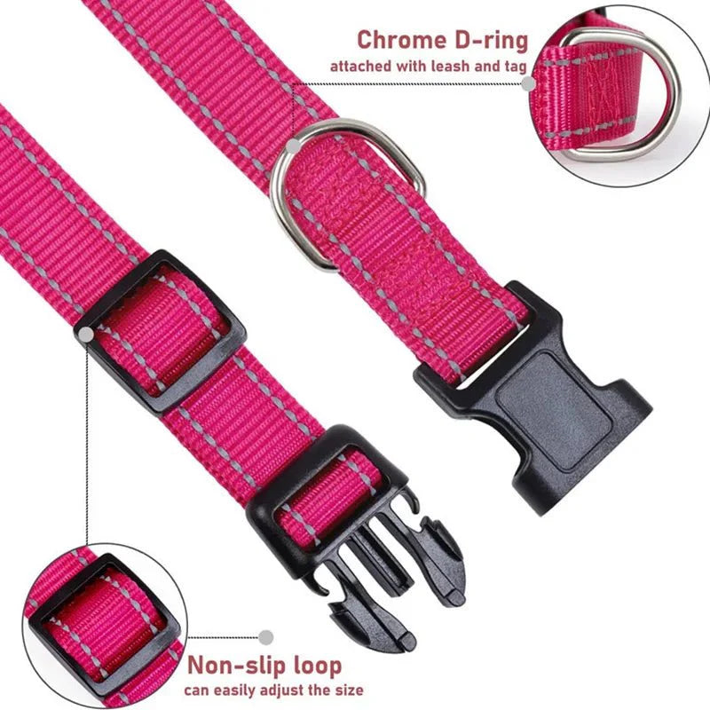 Reflective Nylon Dog Collar – Adjustable Safety Strap