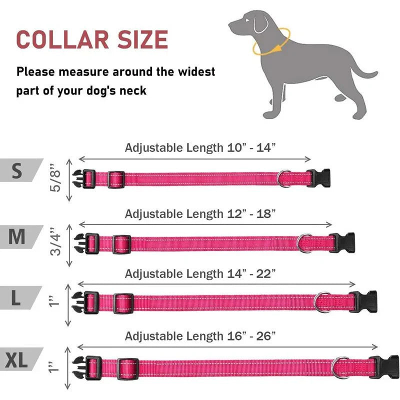 Reflective Nylon Dog Collar – Adjustable Safety Strap