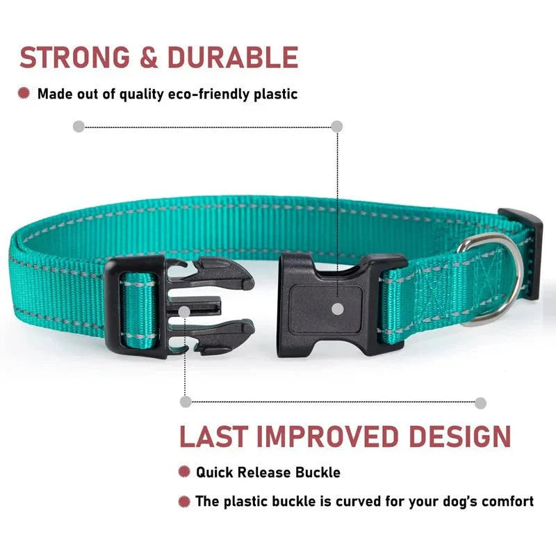 Reflective Nylon Dog Collar – Adjustable Safety Strap