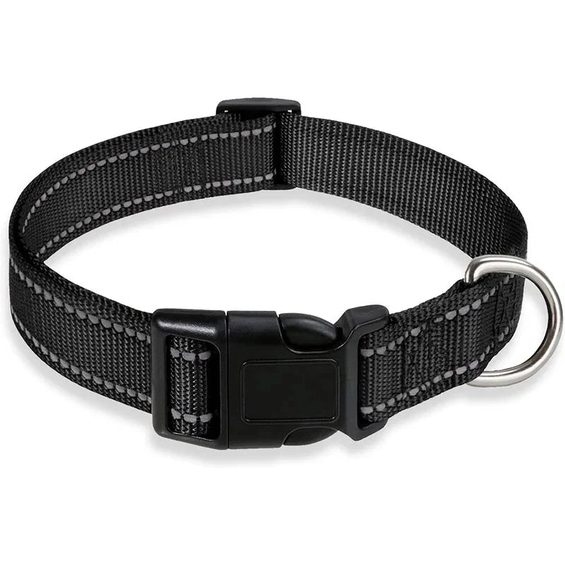 Reflective Nylon Dog Collar – Adjustable Safety Strap