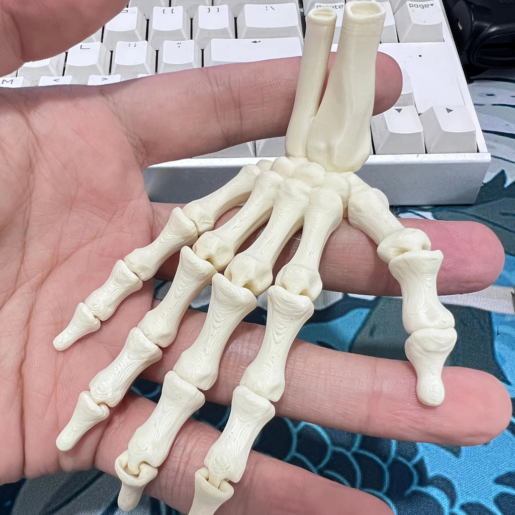 Scary Skull Skeleton Hands – Halloween Party Props