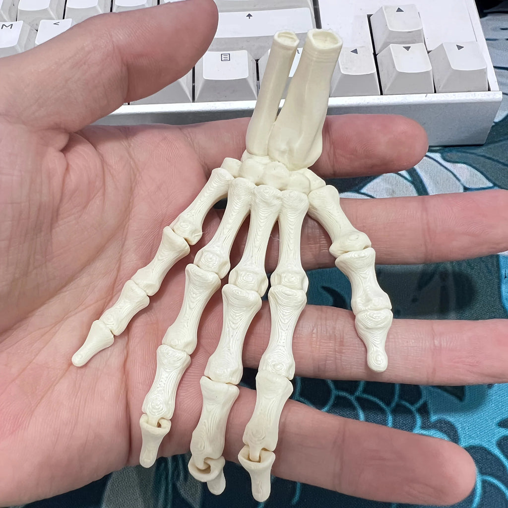 Scary Skull Skeleton Hands – Halloween Party Props