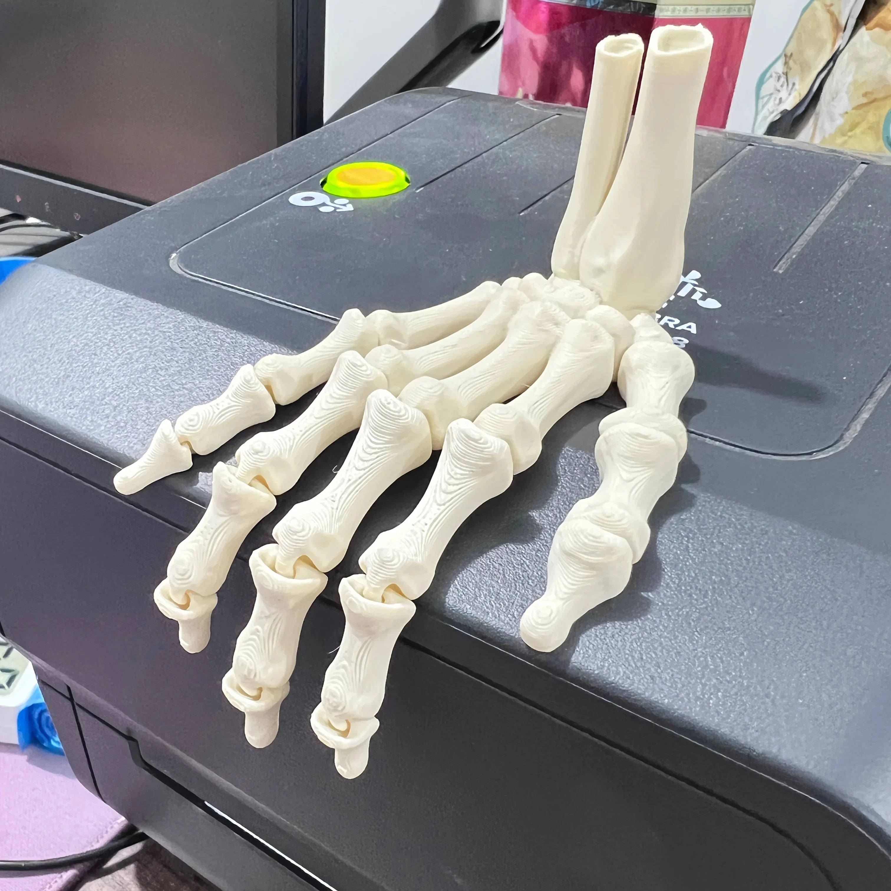 Scary Skull Skeleton Hands – Halloween Party Props