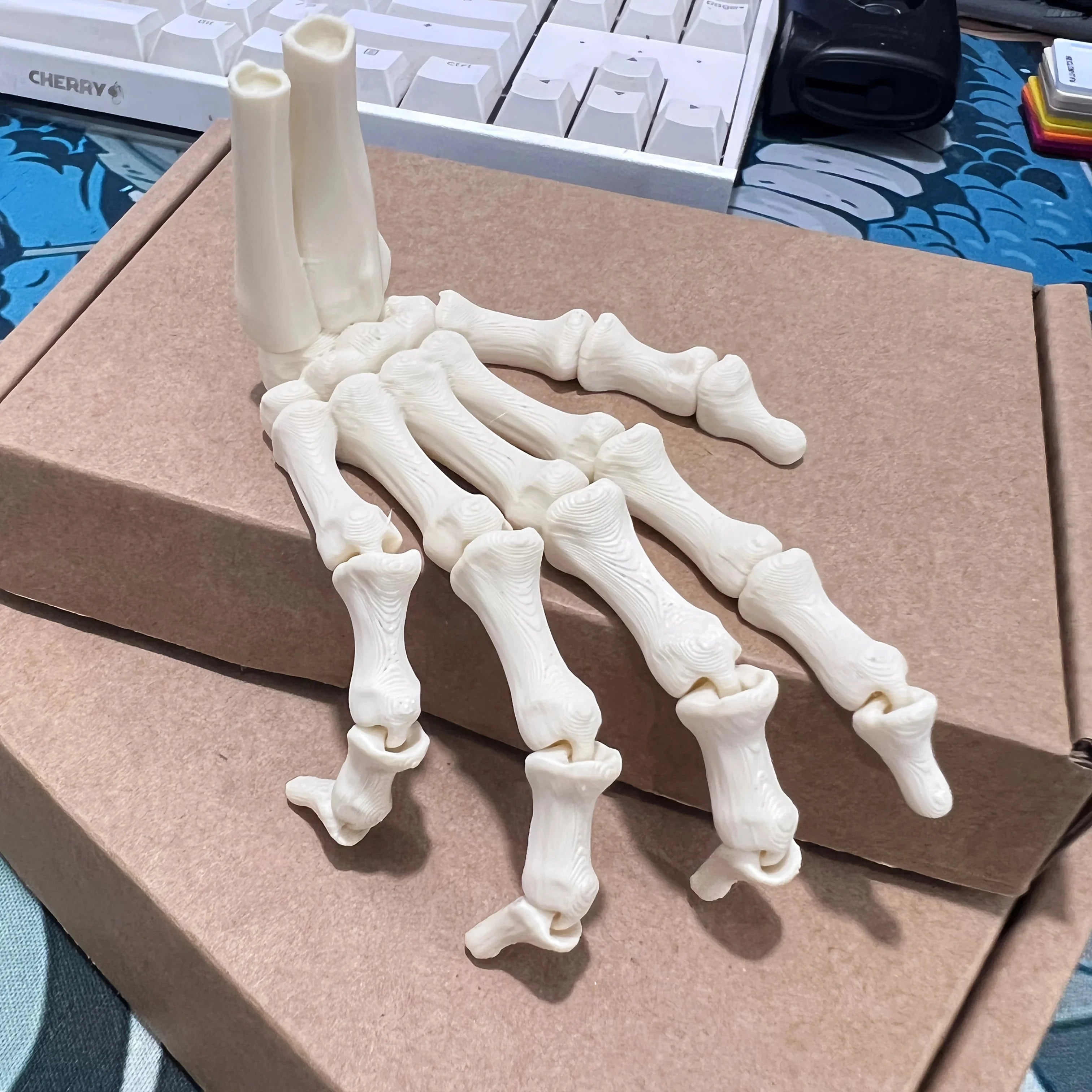 Scary Skull Skeleton Hands – Halloween Party Props