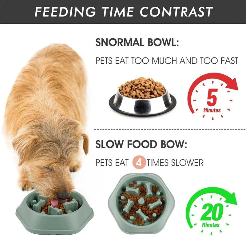 Slow Feeder Dog Bowl | Anti-Choking Puzzle Food Dish for Small and Medium Dogs