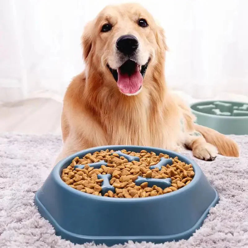 Slow Feeder Dog Bowl | Anti-Choking Puzzle Food Dish for Small and Medium Dogs