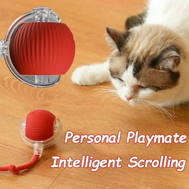 Interactive Cat Toy Ball | Automatic Rolling Rechargeable Cat Toy with Faux Tail