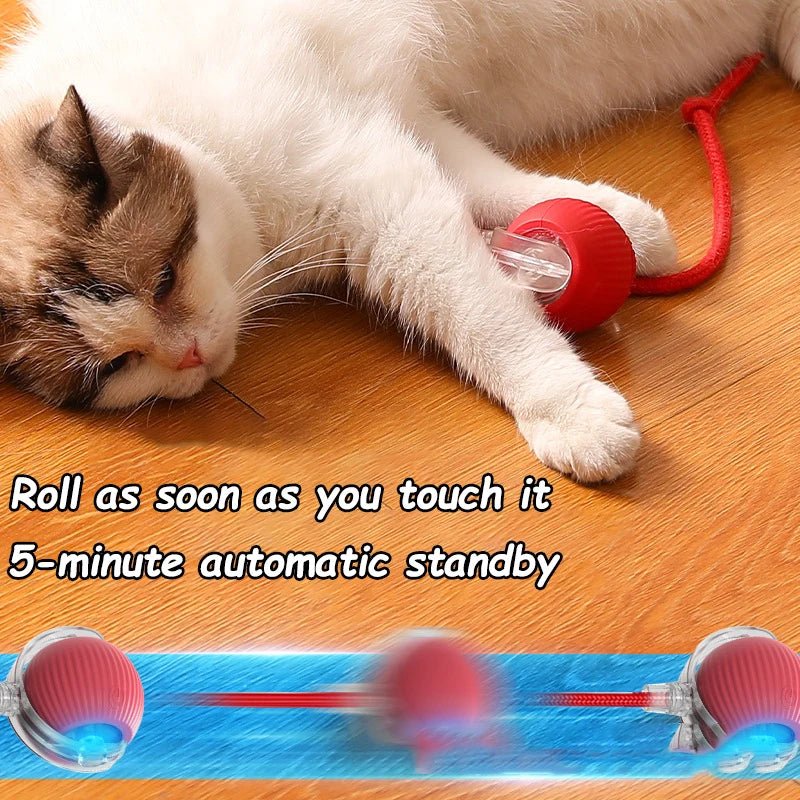 Interactive Cat Toy Ball | Automatic Rolling Rechargeable Cat Toy with Faux Tail