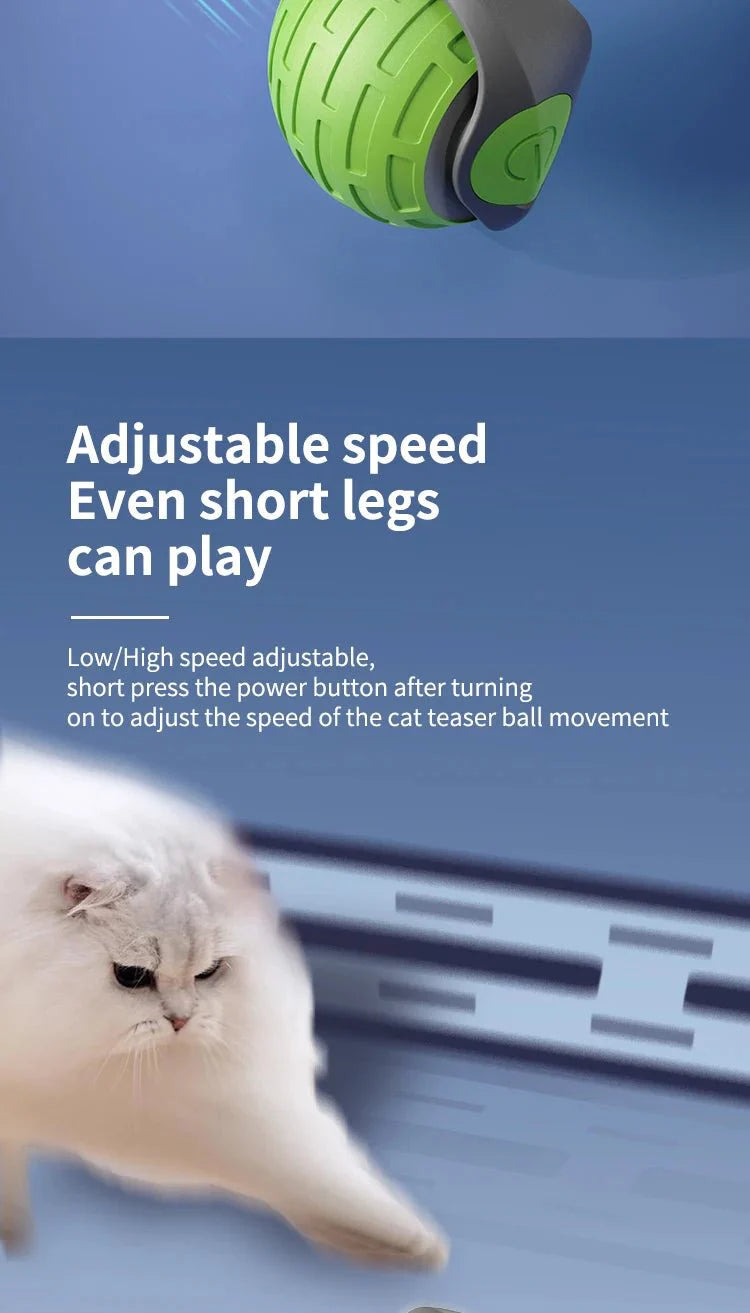 USB Rechargeable Interactive Electric Cat Toy Ball