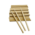 VIP- Eyelash accessories-Micro  Brushes with Bamboo Handle 50 pcs/bag