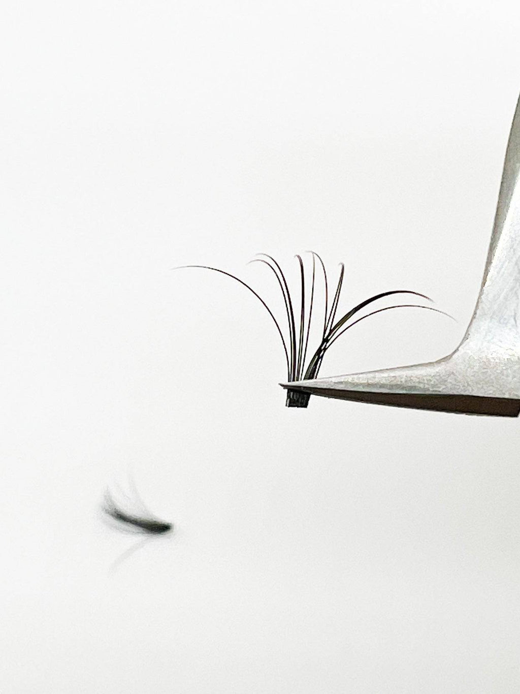 VIP Quick Fan Lash Extensions - 12 lines 0.05 C Curl
